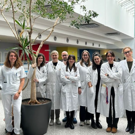 Unimore study published in Brain clarifies links between epilepsy and neurodegenerative diseases Unimore study published in Brain clarifies links between epilepsy and neurodegenerative diseases